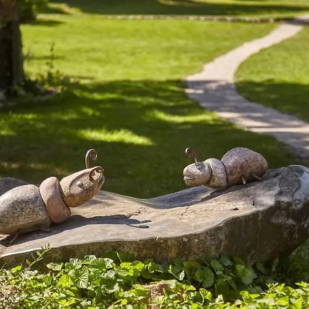 Отель Star Dadaj & Spa Dadaj